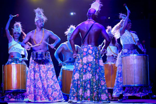 Brazil Tropical Spectacle